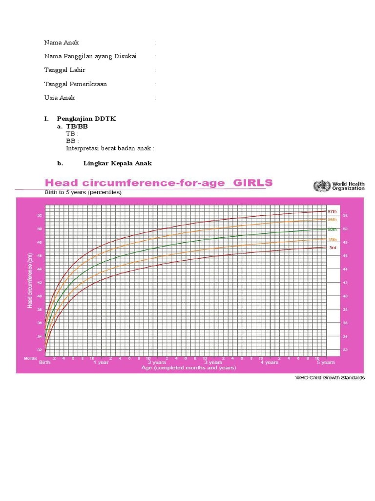 Format DDST & DDTK.doc