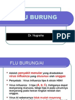 h5n1 Flu Brg