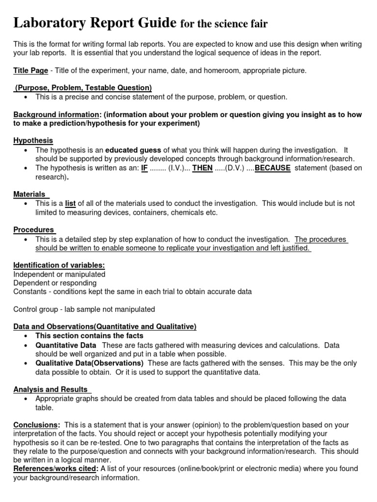 Hypothetical lab report 08 image