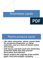 Lipid Biosynthesis in Plants