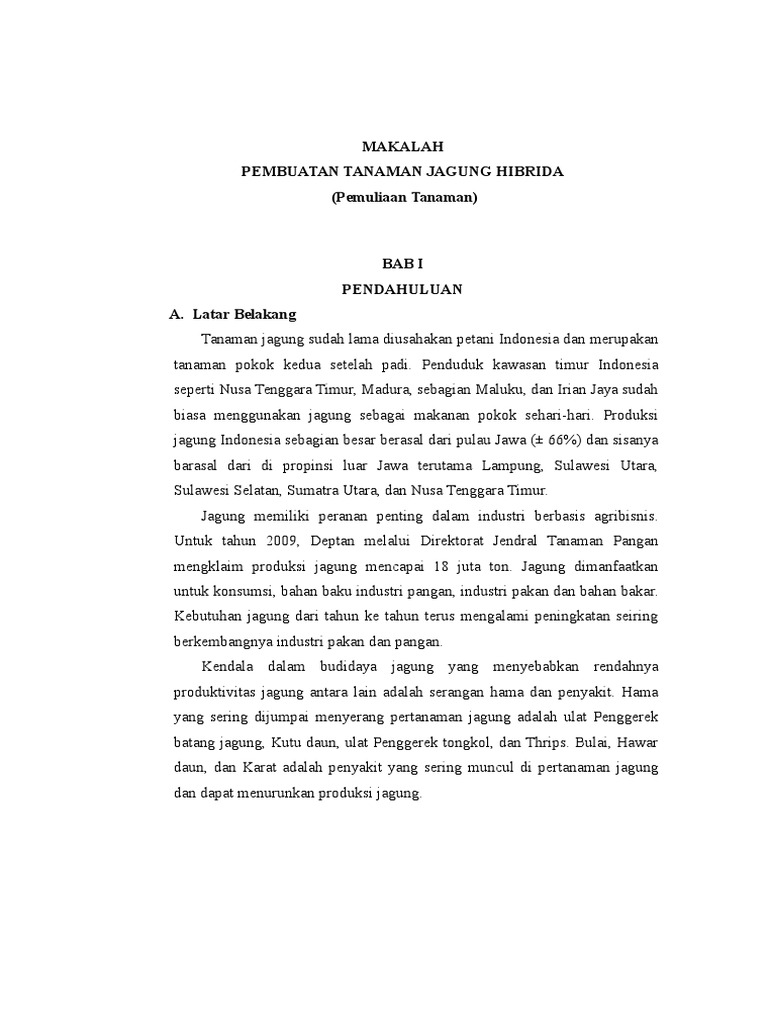 Makalah Jagung Hibrida