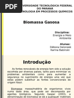 Biomassa Gasosa