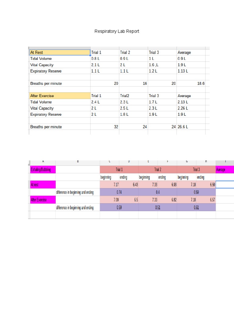 Respiratory Lab Report | PDF