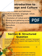 LCS PPT Structure and Essay
