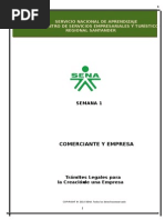 2-Comerciante y Empresa