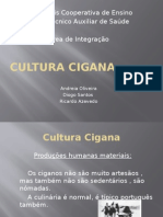 Cultura Cigana