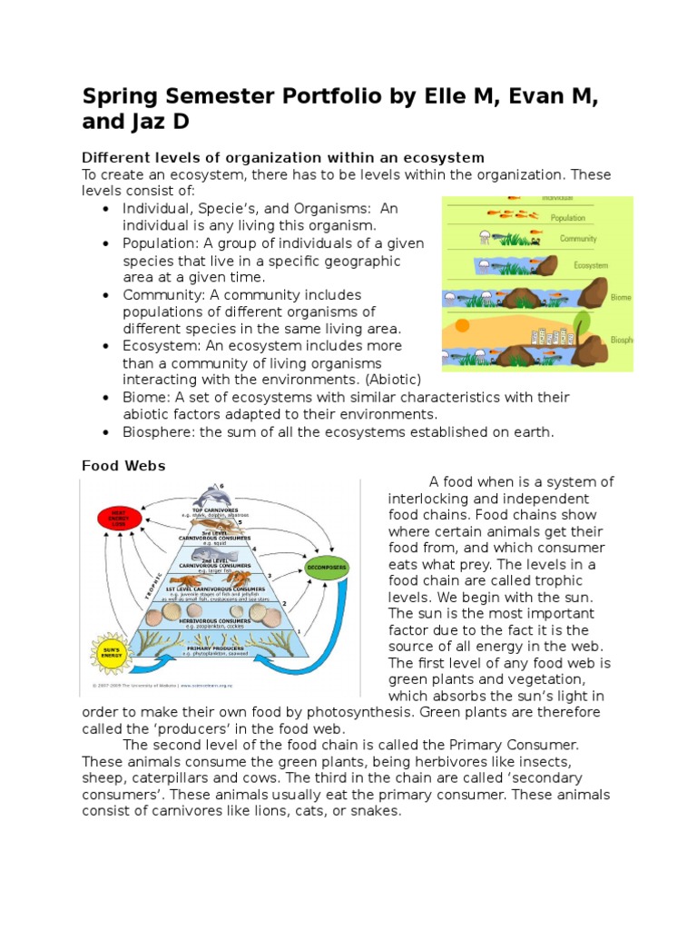 Environmental Spring Final Portfolio | PDF | Eutrophication | Water ...