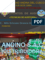 Tecnicas de Auditoria