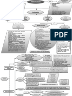 Mapa Mental Prematuro PDF