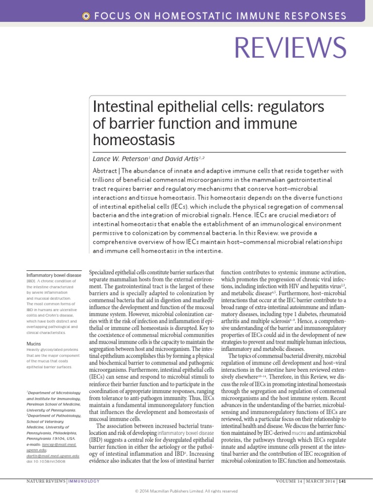 Intestinal Epithelial Cells Regulators of Barrier Function and Immune