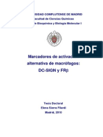 Marcadores de Activación Alternativa de Macrófagos DC-SIGN y FRβ