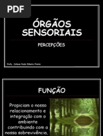 ÓRGÃOS SENSORIAIS