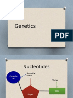 Genetics Powerpoint For AQA Biology Unit 2