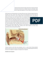 Cholesteatoma