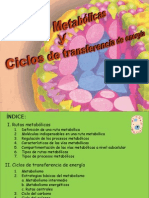Diapositivas-Biotecnologia