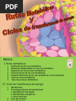 Diapositivas-Biotecnologia