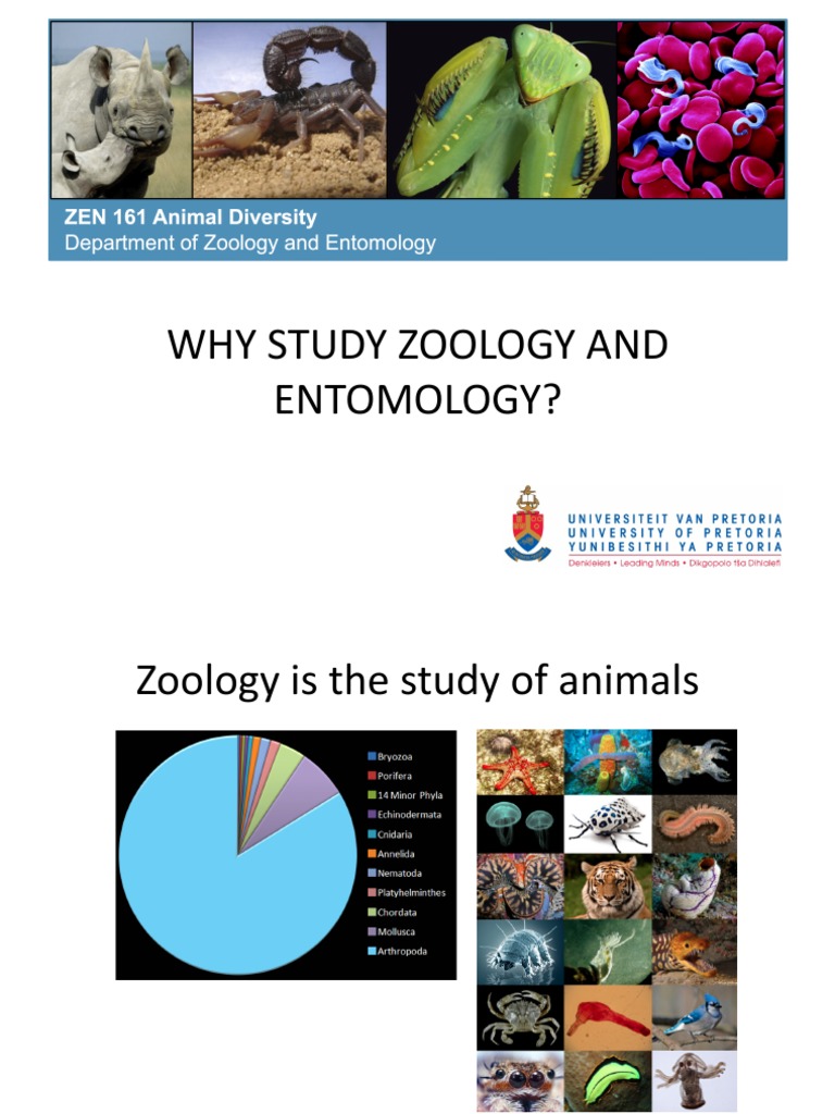 Why Study Zoology Zoology Earth & Life Sciences