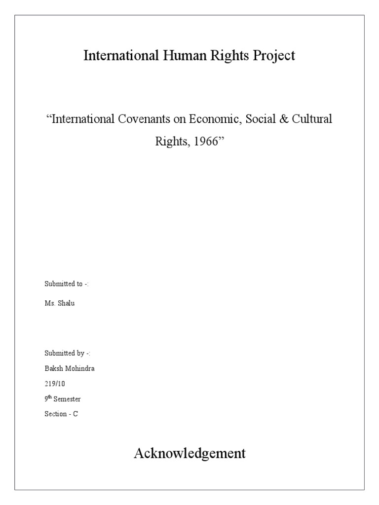 International Human Rights Covenant Overview | PDF | Human Rights ...