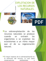 Sobreexplotacion de Los Recursos Naturales