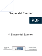 Etapas Del Examen