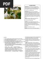 A Grande Ávore- Catequese