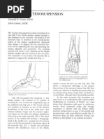 First Ray Biomechanics in Foot Function | PDF | Foot | Anatomical Terms ...