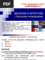 NECROSE E APOPTOSE e Acúmulos Intracelulares