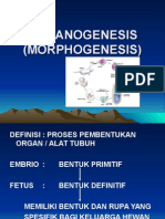 09-Organogenesis (2).ppt