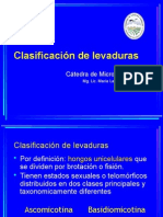 Clasificación de Lavaduras