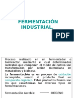 Fermentación Industrial