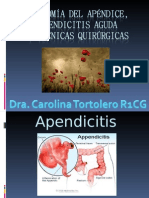 20110201_anatom__a_del_ap__ndice_y_t__cnicas_quir__rgicas_carolina_tortolero_r1cg.ppt