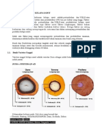 BENIH DAN PEMBIBITAN KELAPA SAWIT.docx