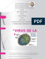 Virus de La Influenza