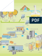 Brewing Process