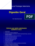 Digestao Geral