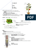 anatomy vascularplants 35 (1).doc