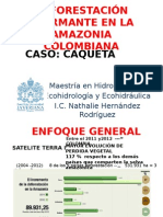 Deforestación Alarmante en La Amazonia Colombiana