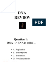 Dna Review