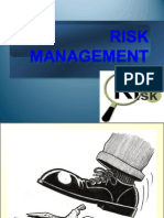 Project Risk Management