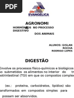 PROCESSO DIGESTIVO ANIMAL.pptx