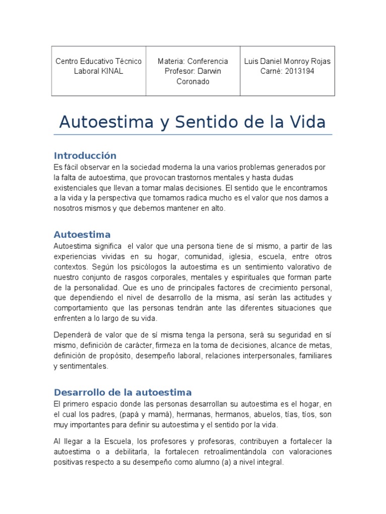 Autoestima y Sentido de la Vida | PDF | Autoestima | Vida