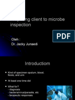 Preparing Client To Microbe Inspection: Oleh: Dr. Jacky Junaedi