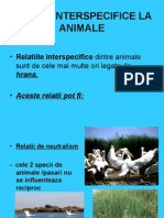 relatiiinterspecificelaanimale-110331112005-phpapp01