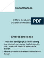 K.7 Enterobacteriaceae