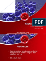RPS - Ruptur Perineum