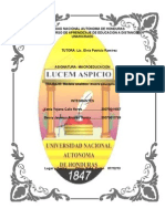 Modelo analítico macroeducacional de la Escuela Francisco Javier Mejía de Orica, Sabá, Colón
