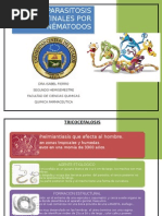 Borrador Parasito II Hemi