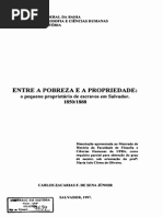Entre a Pobreza e a Propriedade Final