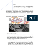 Laporan Pendahuluan Acl Rupture