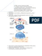 Msk Path Lab